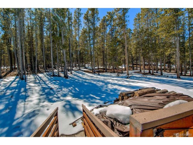 154 Lakeside Dr, Fairplay, CO 80440