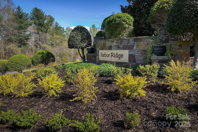 212 Harbor Ridge Drive, Connelly Springs, NC 28612