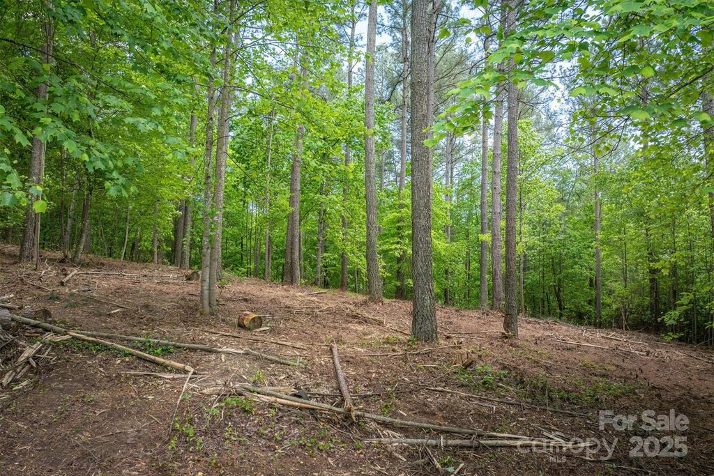 212 Harbor Ridge Drive, Connelly Springs, NC 28612