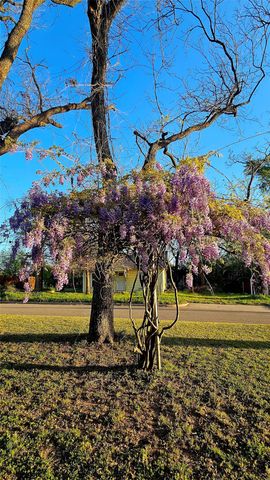 700 S Live Oak Street, Canton, TX 75103