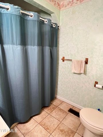 207 Crest Drive, Mount Carmel, TN 37645