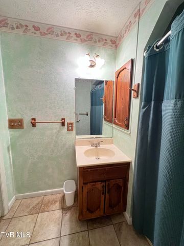 207 Crest Drive, Mount Carmel, TN 37645