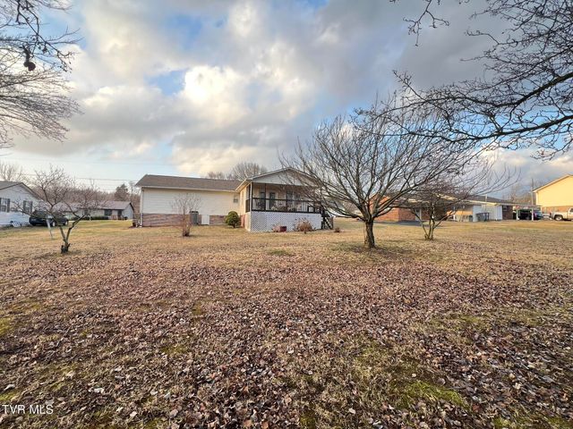 207 Crest Drive, Mount Carmel, TN 37645