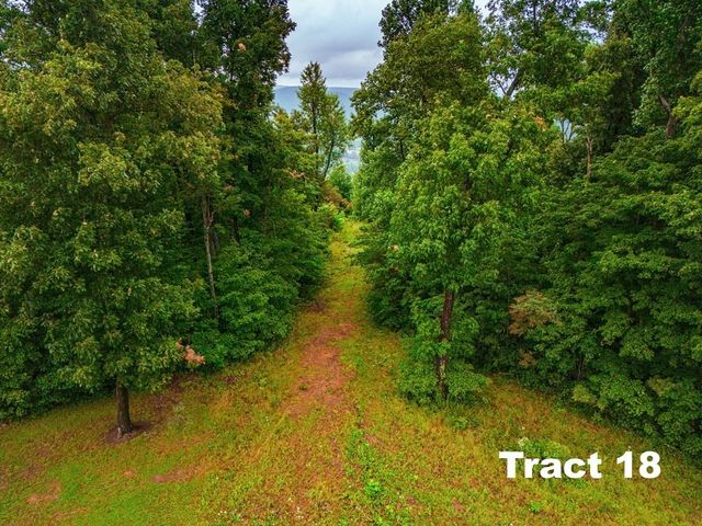 0 Bear Knob Ln, Crawford, TN 38554