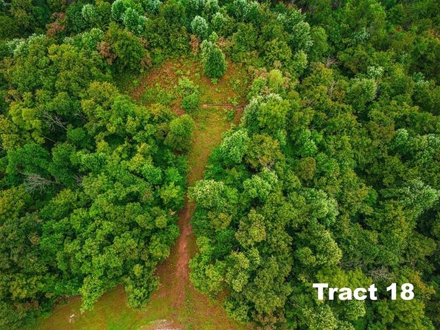 0 Bear Knob Ln, Crawford, TN 38554