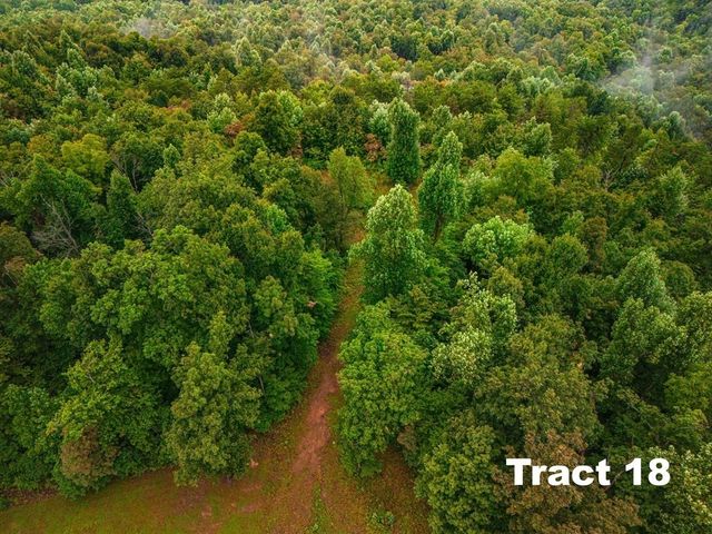 0 Bear Knob Ln, Crawford, TN 38554