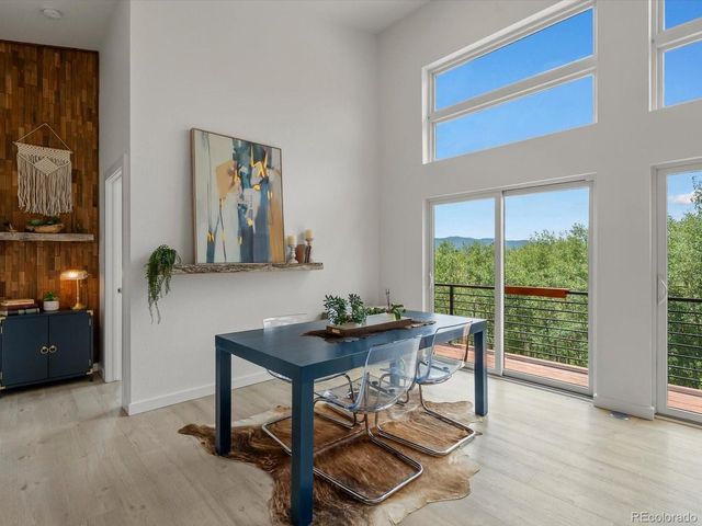 682 Alps Hill Rd, Central City, CO 80427