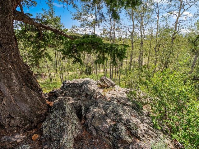682 Alps Hill Rd, Central City, CO 80427