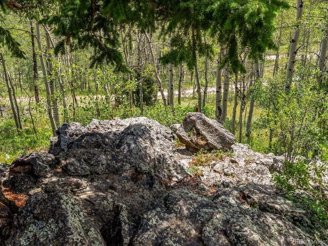 682 Alps Hill Rd, Central City, CO 80427