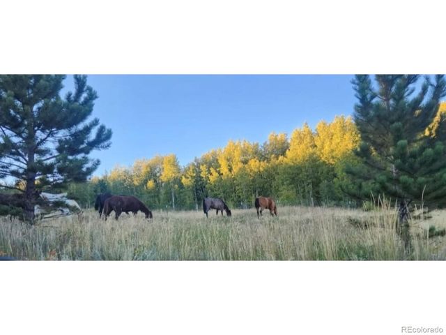 682 Alps Hill Rd, Central City, CO 80427