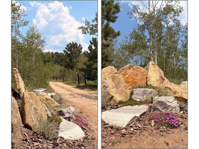 682 Alps Hill Rd, Central City, CO 80427