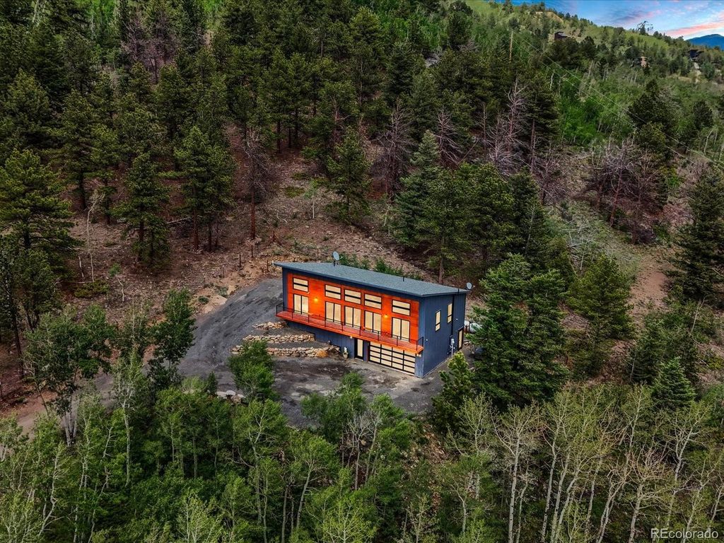 682 Alps Hill Rd, Central City, CO 80427