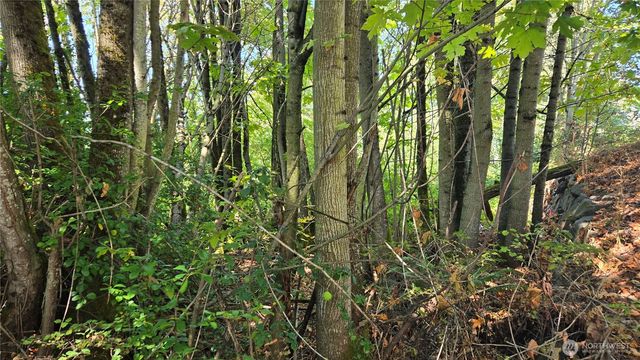 11 XX NE Sunset Boulevard, Renton, WA 98056