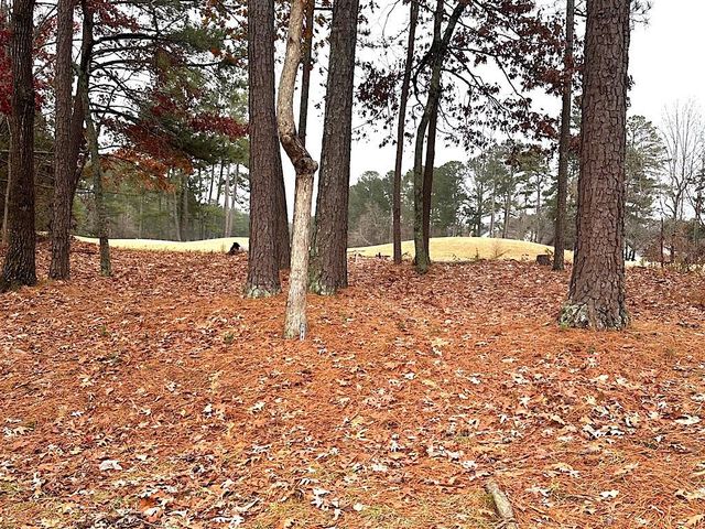 2431 Apalachee Run Way, Dacula, GA 30019