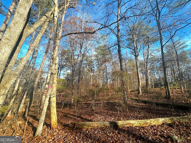 3339 Cherokee Court, Villa Rica, GA 30180