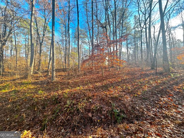 3339 Cherokee Court, Villa Rica, GA 30180