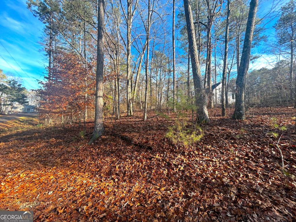 3339 Cherokee Court, Villa Rica, GA 30180