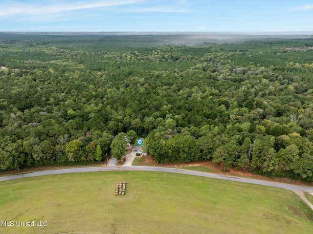 431 Gates Bridge Road, Sumrall, MS 39482