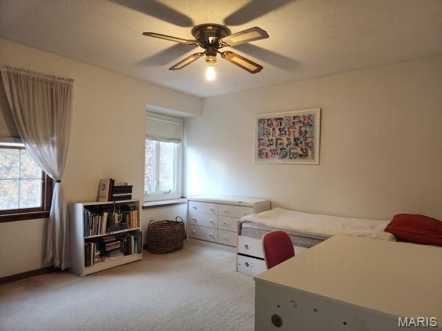 274 Falling Leaves Court, Creve Coeur, MO 63141