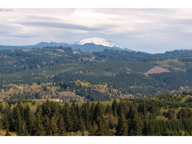 40416 Ne GOODNIGHT Rd, La Center, WA 98629