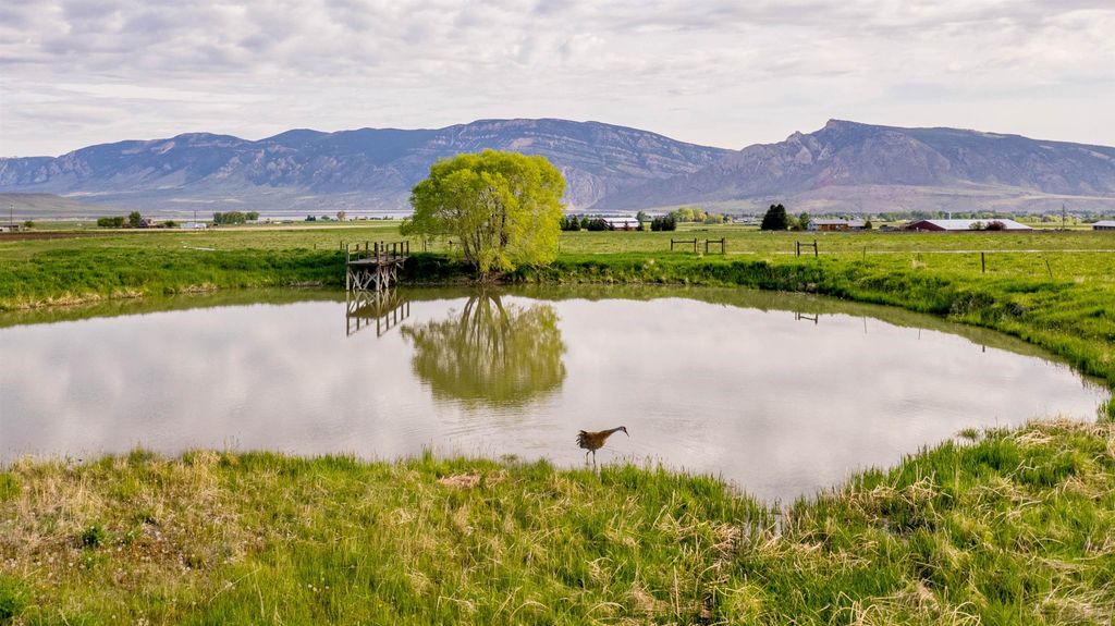 272 Road 6RT, Cody, WY 82414 photo 57