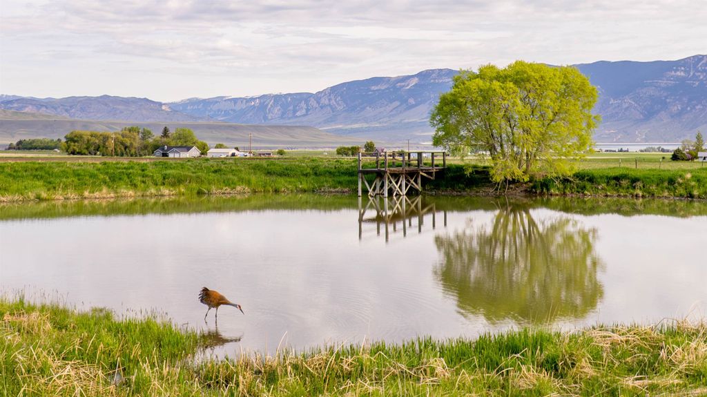 272 Road 6RT, Cody, WY 82414 photo 58