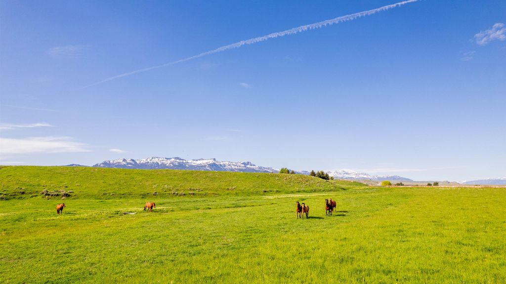 272 Road 6RT, Cody, WY 82414 photo 72