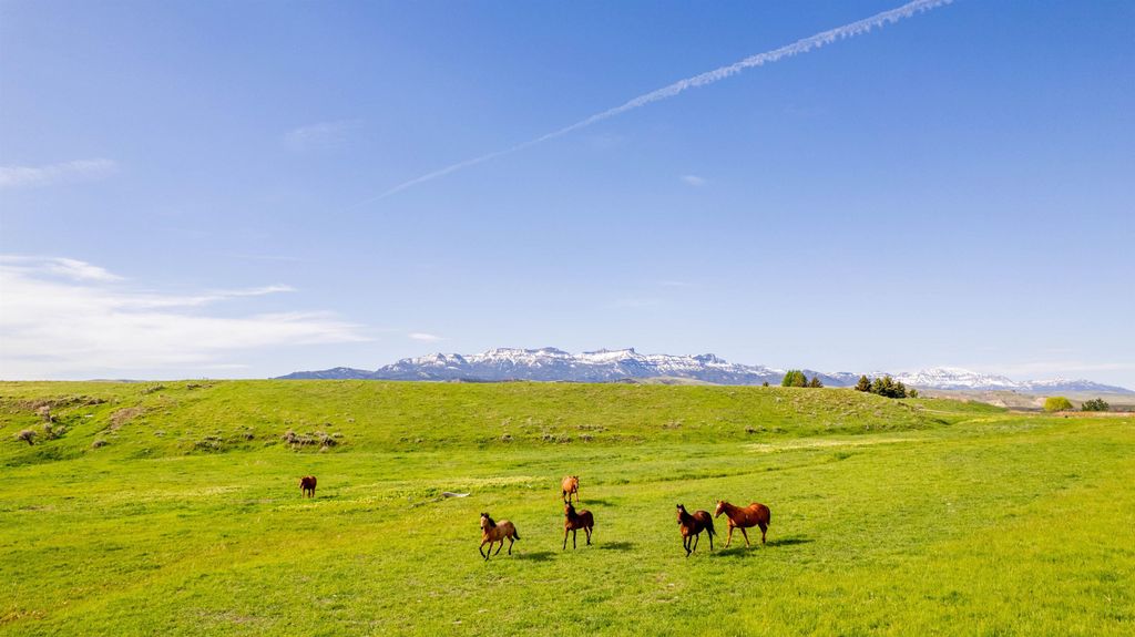 272 Road 6RT, Cody, WY 82414 photo 73