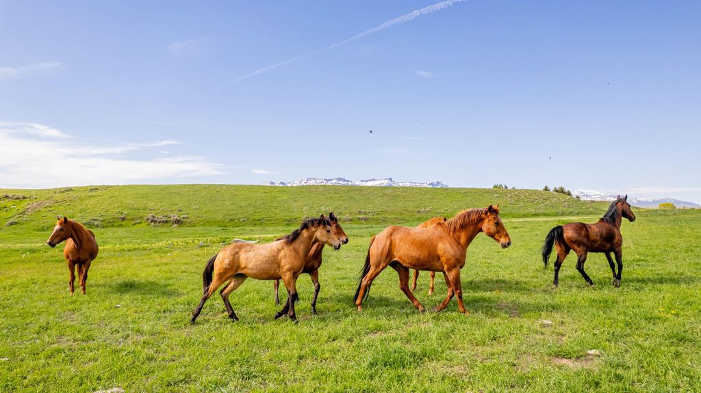 272 Road 6RT, Cody, WY 82414 photo 75