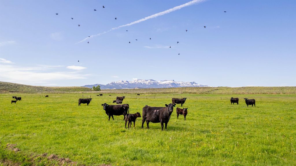 272 Road 6RT, Cody, WY 82414 photo 80