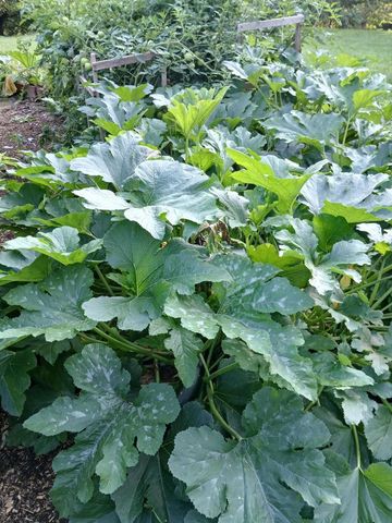 6372 Wildlife ROAD, Allenton, WI 53002