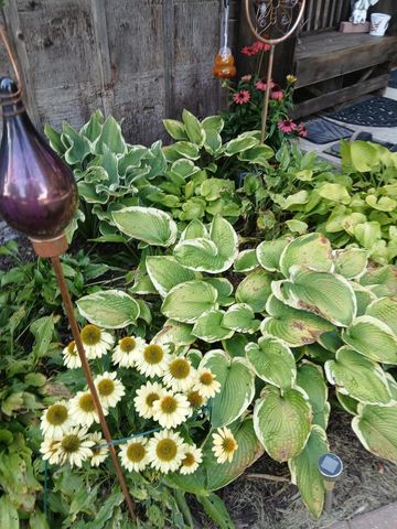 6372 Wildlife ROAD, Allenton, WI 53002