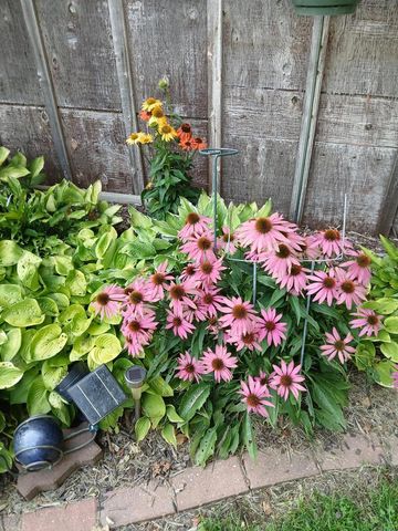 6372 Wildlife ROAD, Allenton, WI 53002