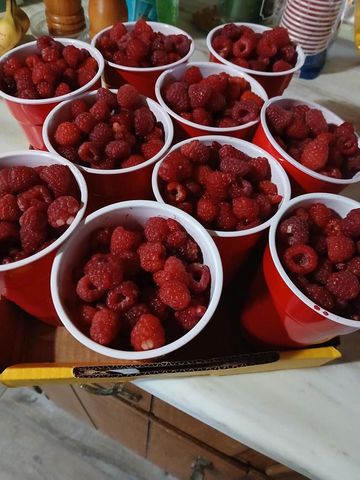 6372 Wildlife ROAD, Allenton, WI 53002