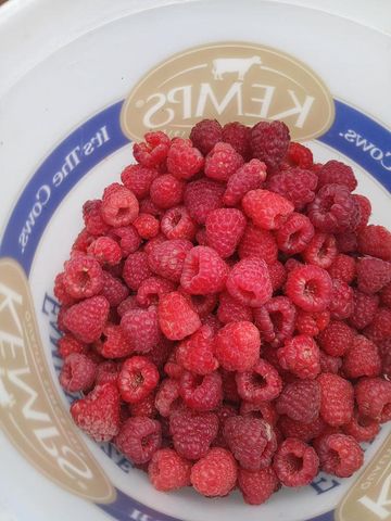 6372 Wildlife ROAD, Allenton, WI 53002