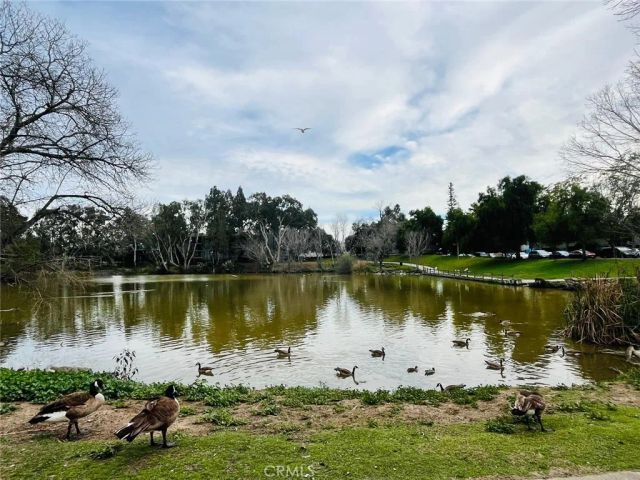 1731 Ellis Street 16, Concord, CA 94520