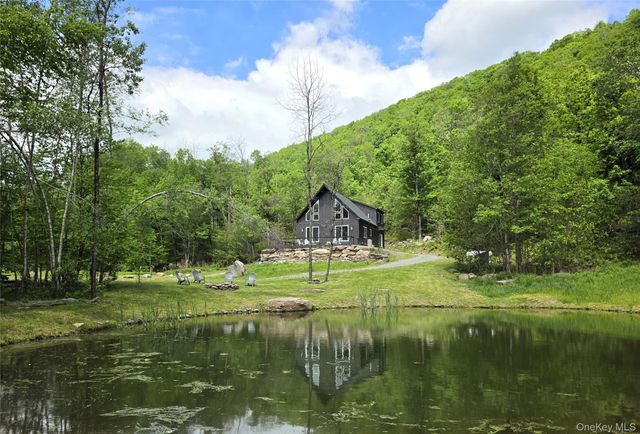 1227 Gulf Road, Callicoon Center, NY 12724