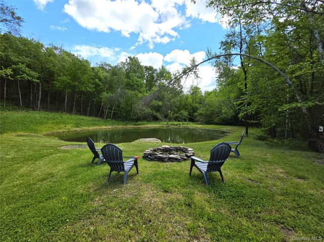 1227 Gulf Road, Callicoon Center, NY 12724