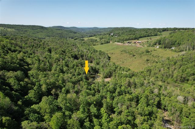 1227 Gulf Road, Callicoon Center, NY 12724