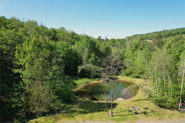 1227 Gulf Road, Callicoon Center, NY 12724