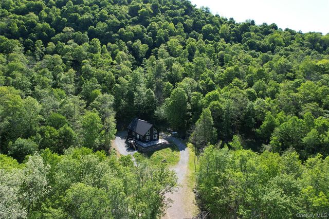1227 Gulf Road, Callicoon Center, NY 12724