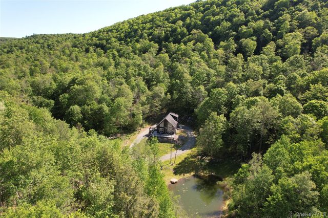 1227 Gulf Road, Callicoon Center, NY 12724
