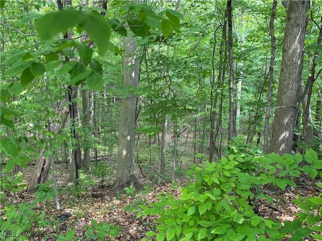 10281 River Run Lane, North Royalton, OH 44133