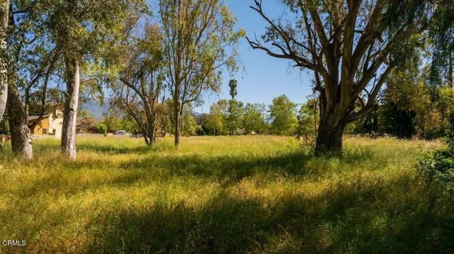 401 S Fulton Street, Ojai, CA 93023