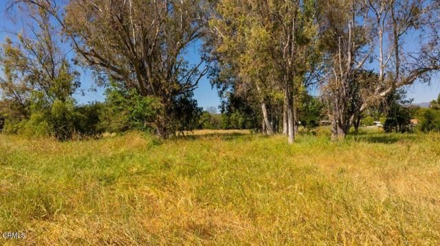 401 S Fulton Street, Ojai, CA 93023