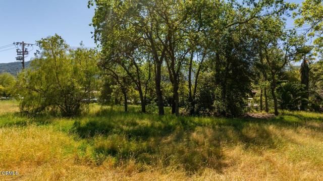 401 S Fulton Street, Ojai, CA 93023
