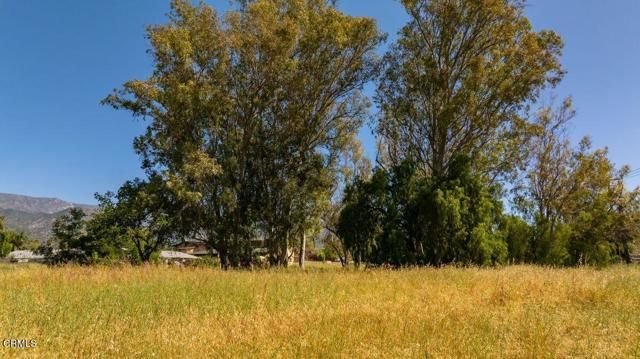 401 S Fulton Street, Ojai, CA 93023
