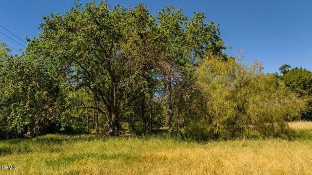 401 S Fulton Street, Ojai, CA 93023