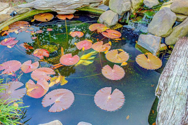 2205 Gillis St, Palatka, FL 32177