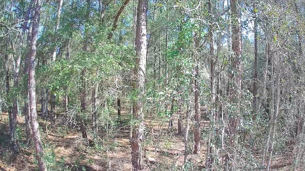 8587 N STERN WAY, Citrus Springs, FL 34434